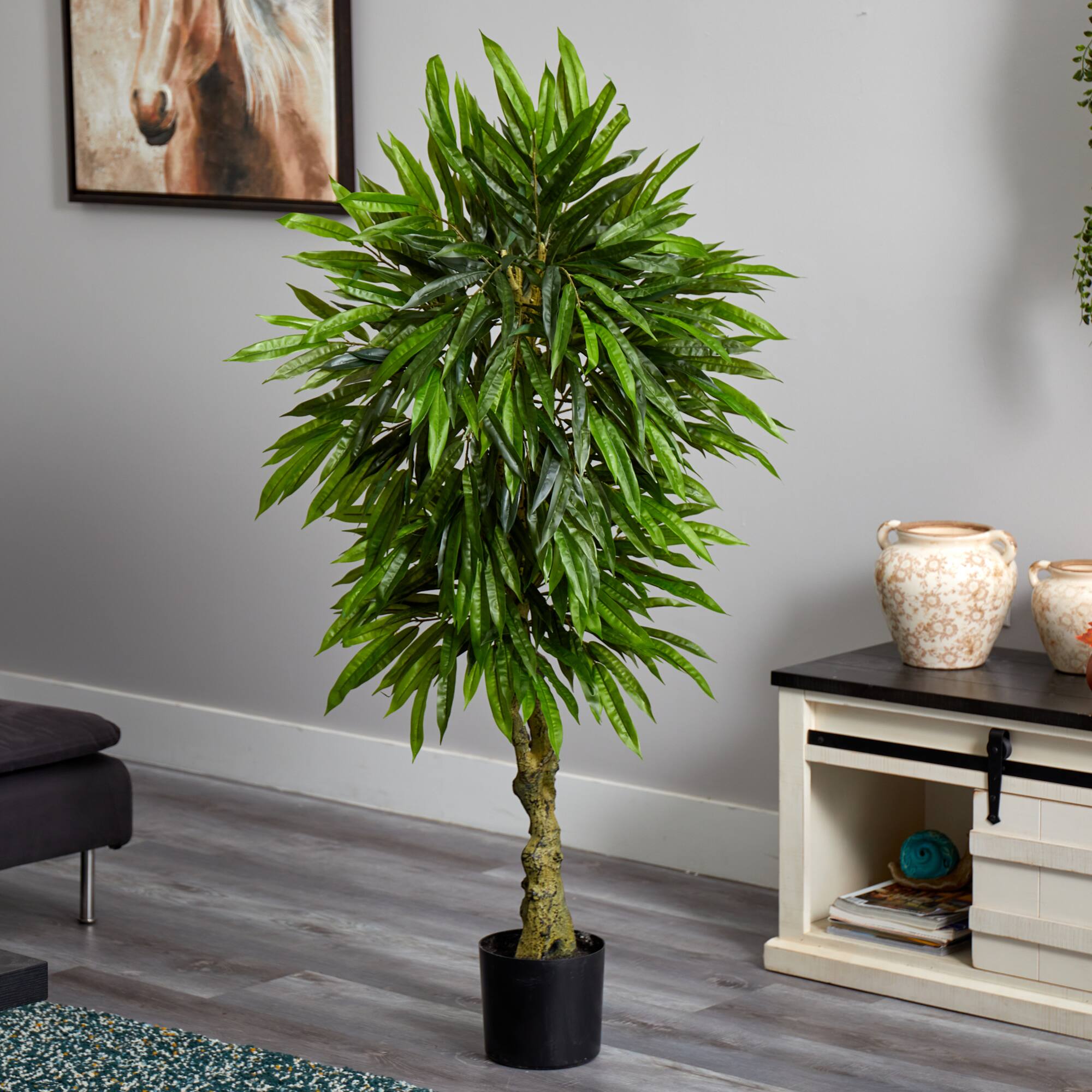 4.5ft. Potted Mango Tree